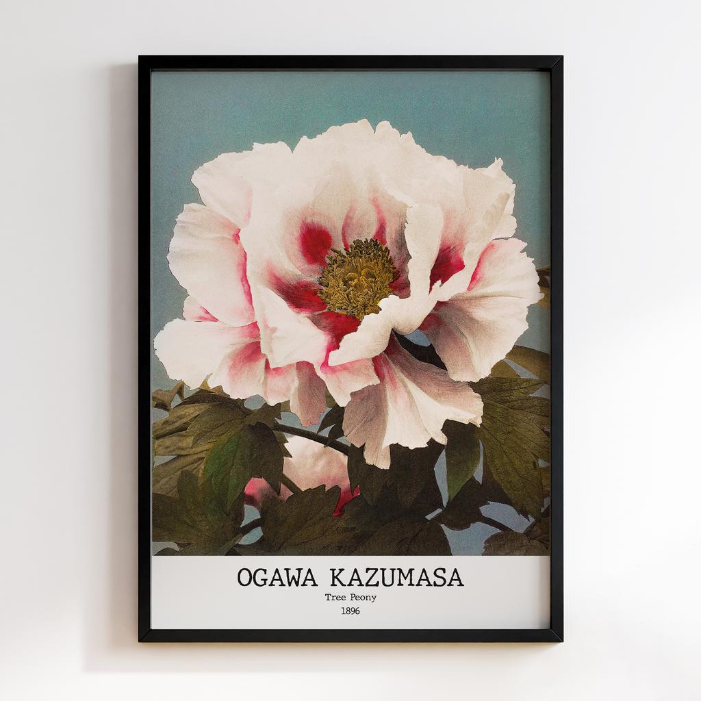 Постер Ogawa Kazumasa Tree Peony 02