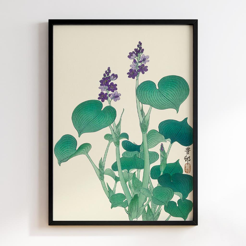 Постер Blooming hosta (1920 - 1930) by Ohara Koson (1877-1945)