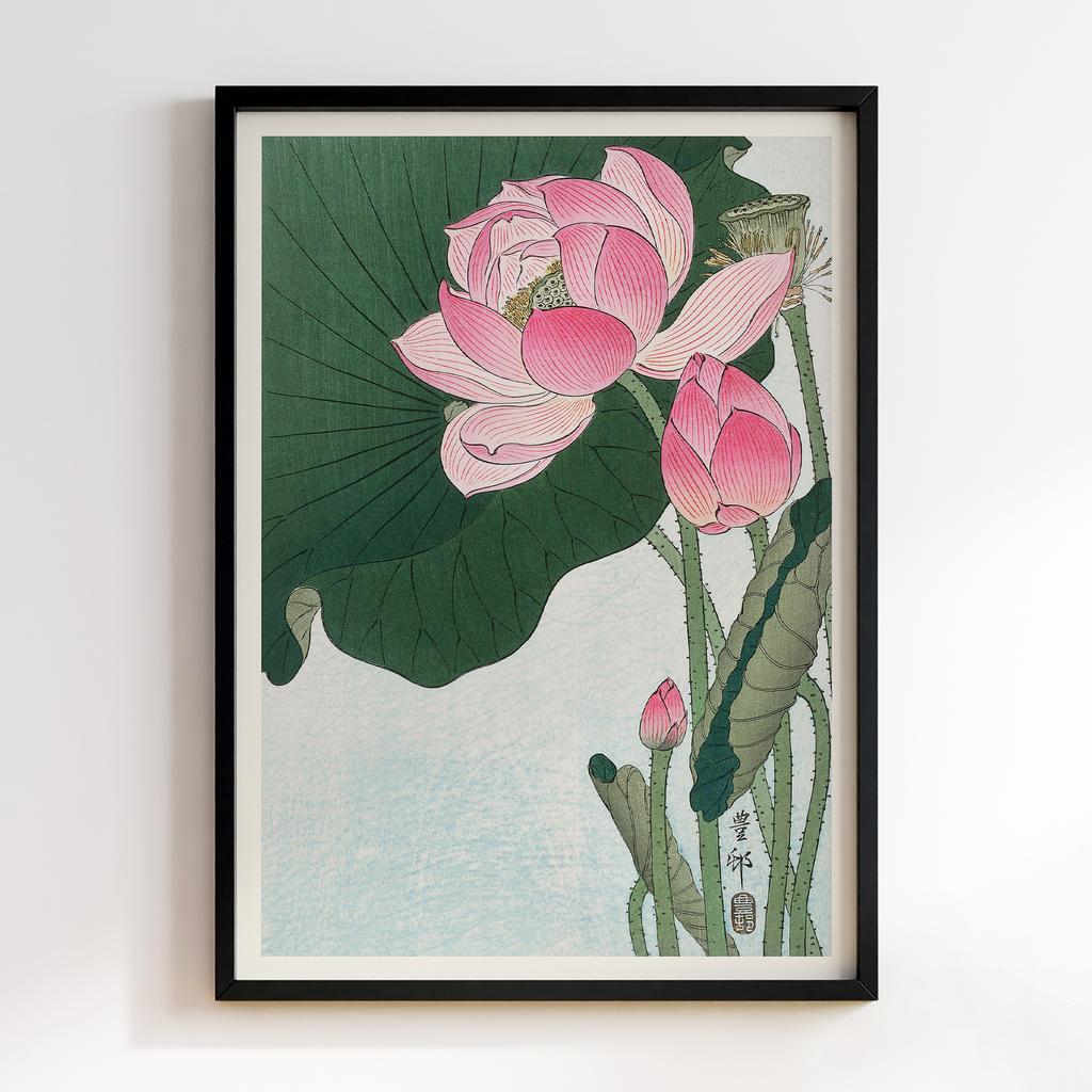 Постер Blooming lotus flowers (1920 - 1930) by Ohara Koson (1877-1945)