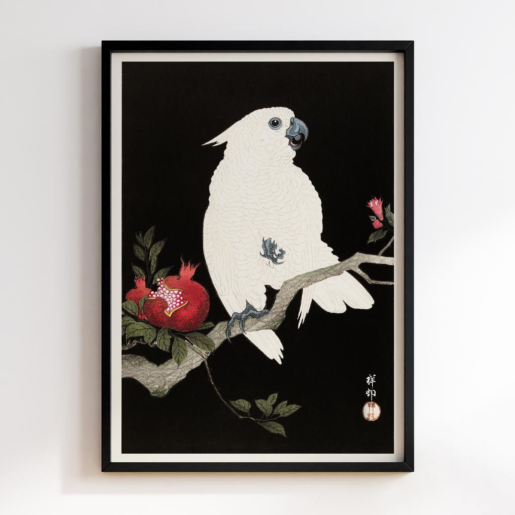 Постер Cockatoo and pomegranate (1925 - 1936) by Ohara Koson (1877-1945)