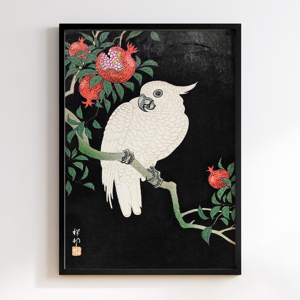 Постер Cockatoo and Pomegranate by Ohara Koson (1877–1945)