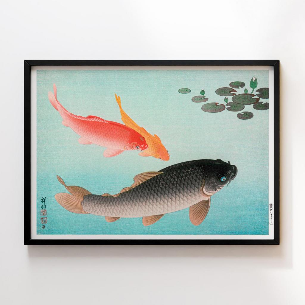 Постер Common and Golden Carp (1935) by Ohara Koson