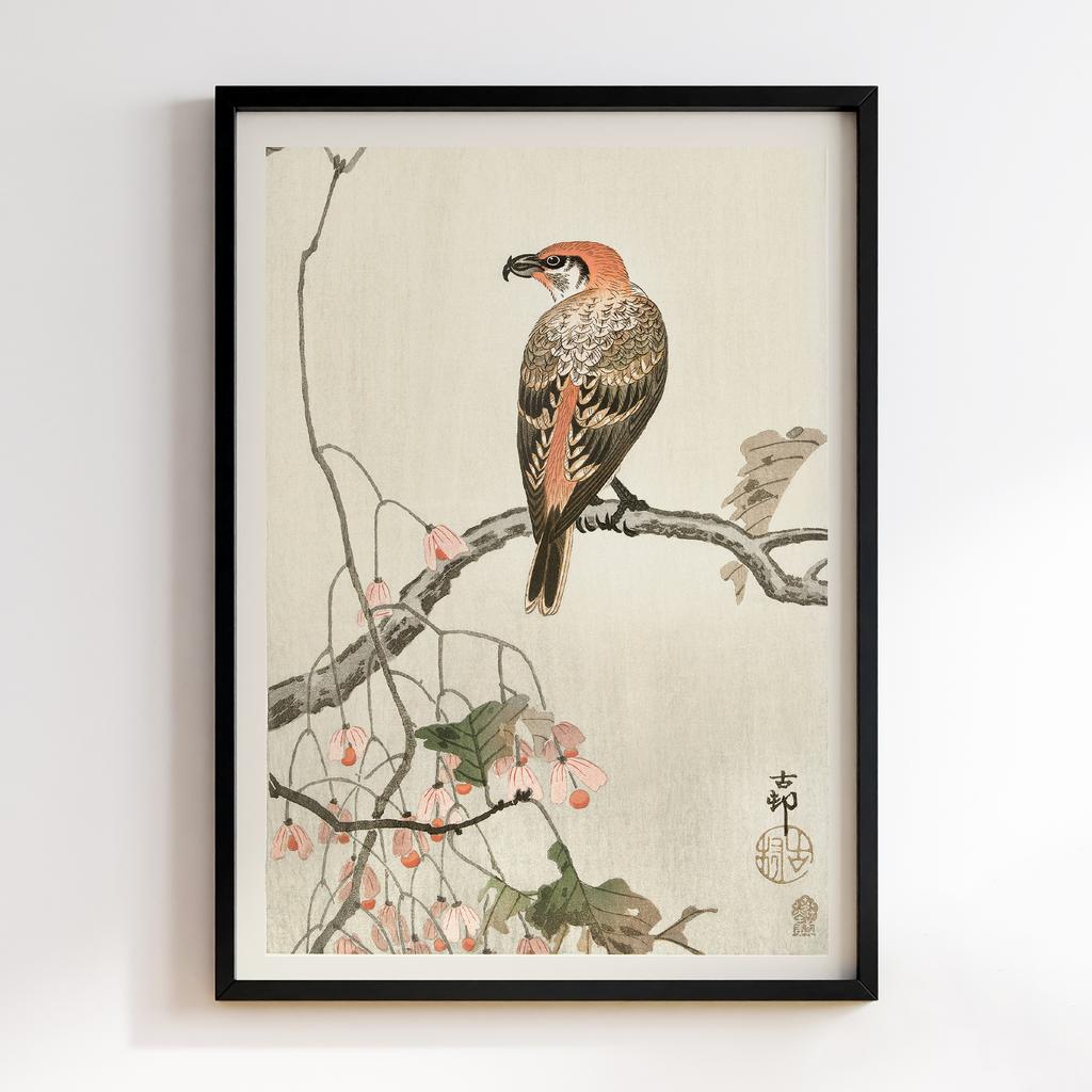 Постер Crossbill on tree branch (1900 - 1910) by Ohara Koson (1877-1945)