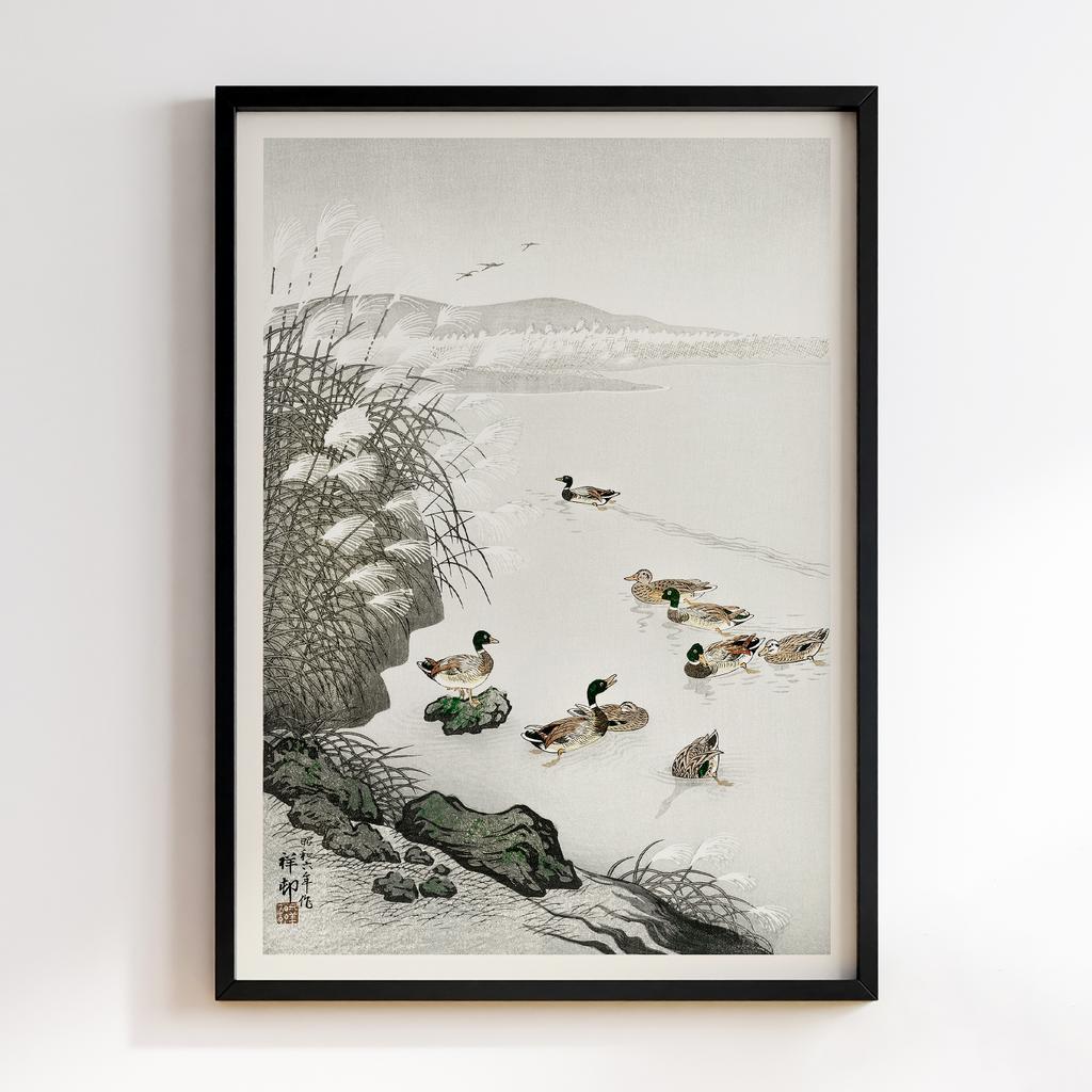 Постер Ducks in the water (1931) by Ohara Koson (1877-1945)