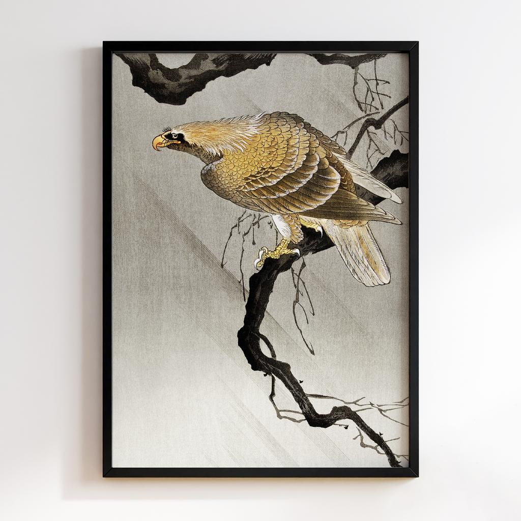 Постер Eagle on branch (1900 - 1910) by Ohara Koson (1877-1945)