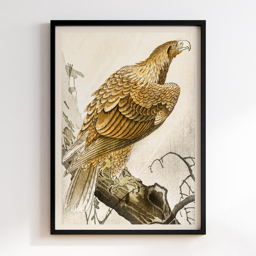 Постер Eagle on tree branch (1900 - 1910) by Ohara Koson (1877-1945)