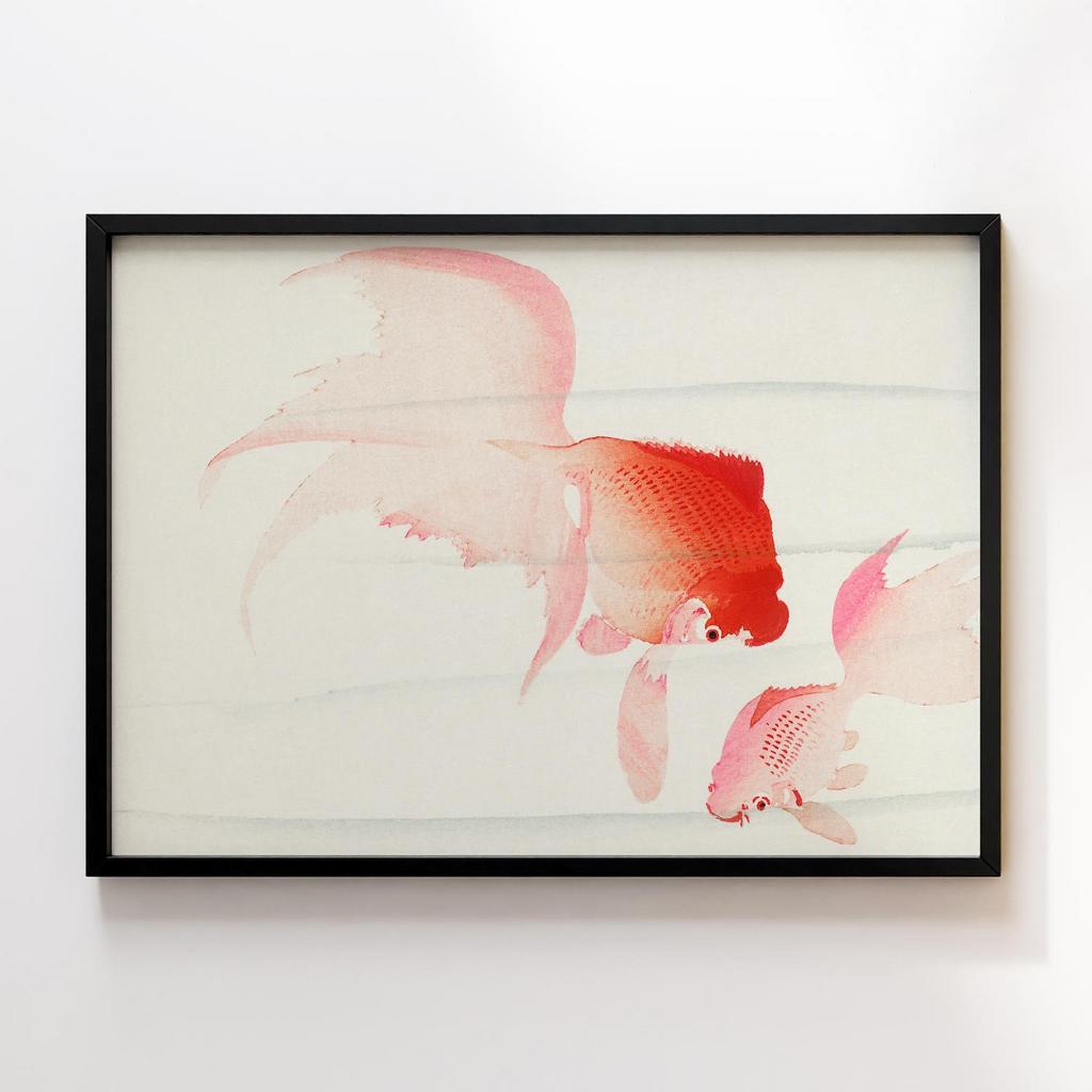 Постер Gold fish (1900 - 1936) by Ohara Koson (1877-1945)