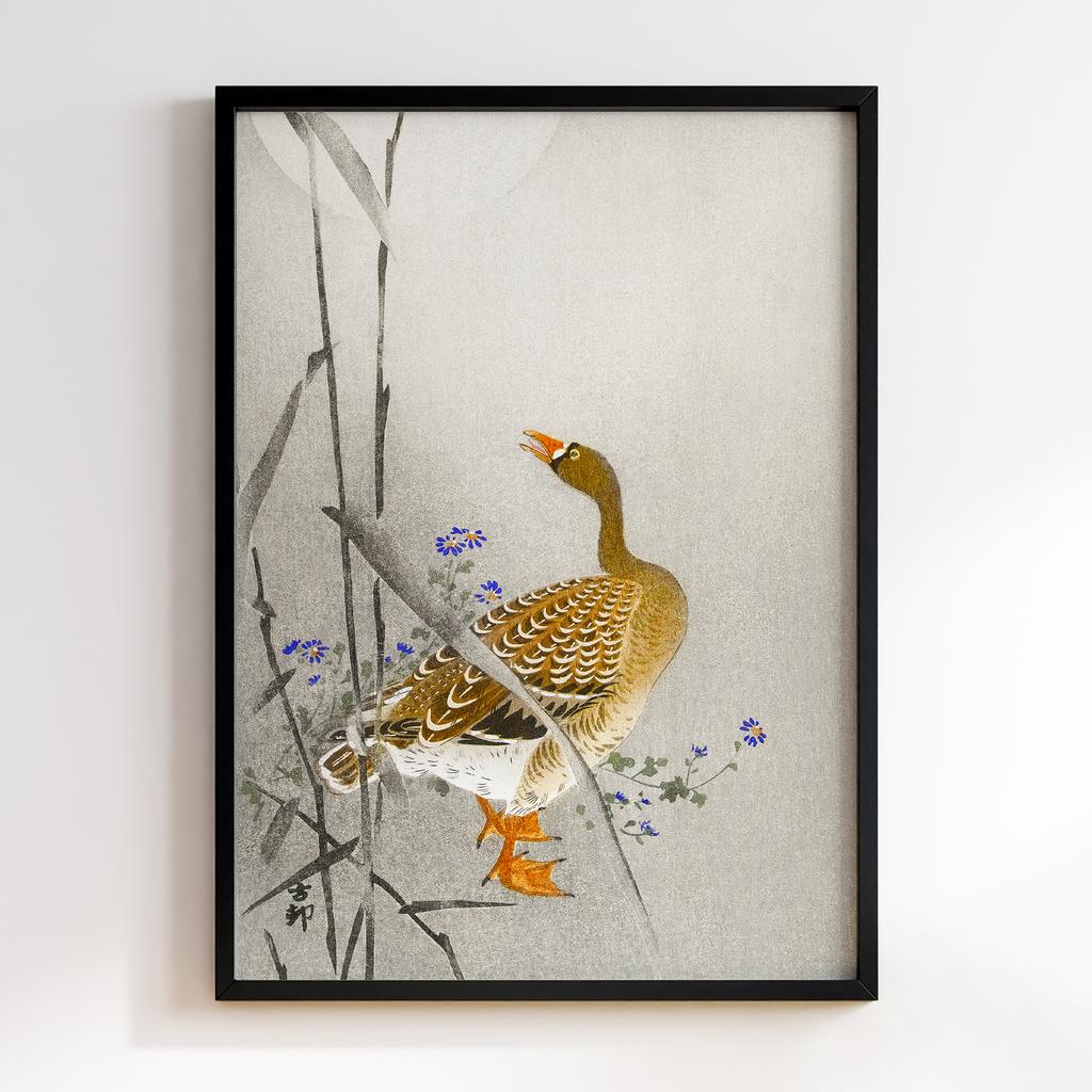 Постер Goose at full moon (1900 - 1936) by Ohara Koson (1877-1945)