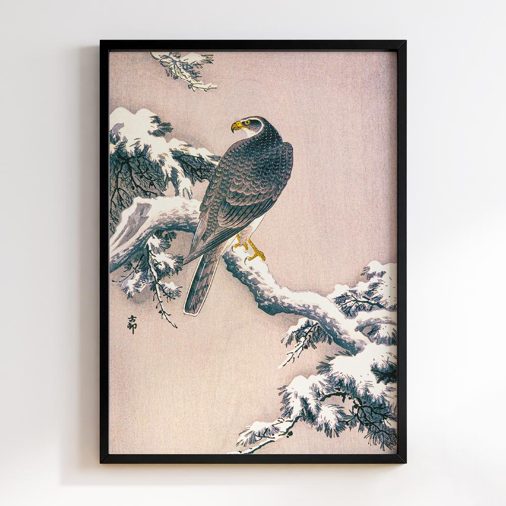 Постер Goshawk on Snow-covered Pine Bough by Ohara Koson (1877–1945)