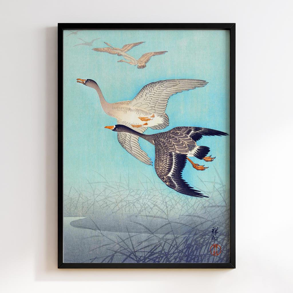 Постер Great geese in flight (1925 - 1936) by Ohara Koson (1877-1945)