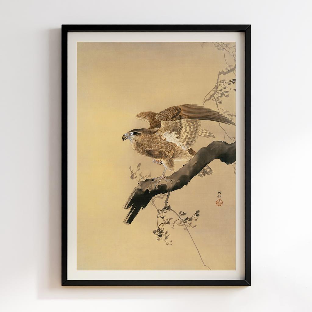 Постер Hawk (1887-1945) by Ohara Koson (1877-1945)