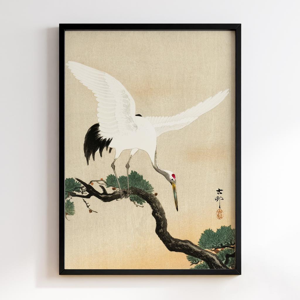 Постер Japanese crane bird on branch of pine (1900 - 1930) by Ohara Koson (1877-1945)