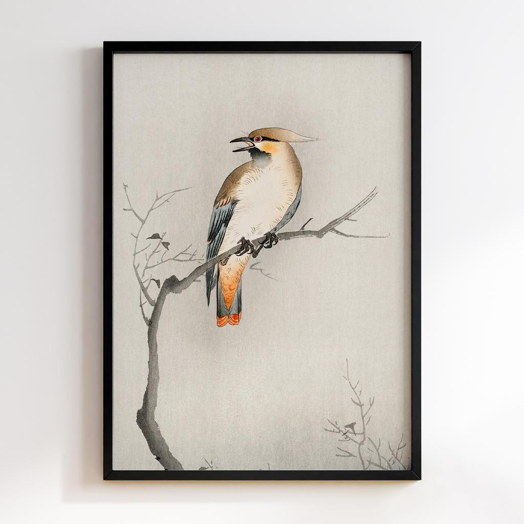 Постер Japanese plague bird on branch (1900 - 1910) by Ohara Koson (1877-1945)