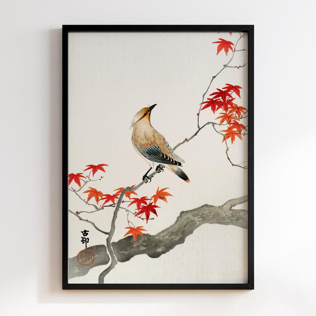 Постер Japanese plague bird on maple (1900 - 1936) by Ohara Koson (1877-1945)