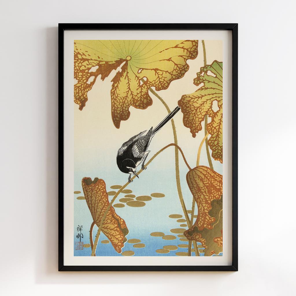 Постер Japanese wagtail on lotus plant (1925 - 1936) by Ohara Koson (1877-1945)