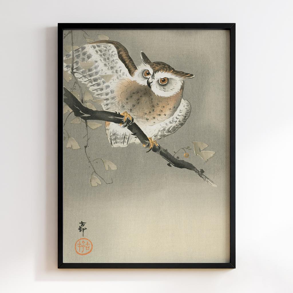 Постер Long-eared owl in ginkgo (1900 - 1930) by Ohara Koson (1877-1945)
