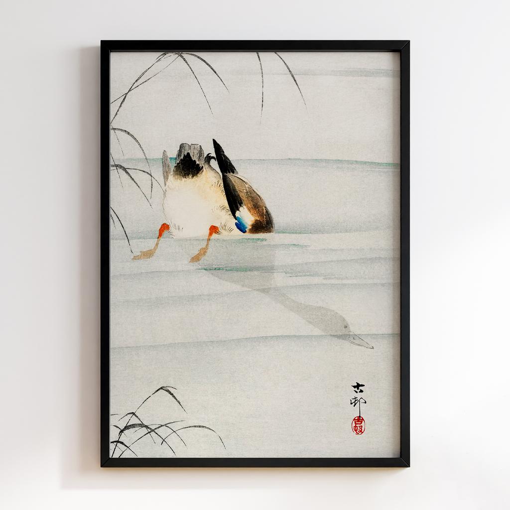 Постер Mallard, the head under water (1900 - 1930) by Ohara Koson (1877-1945)