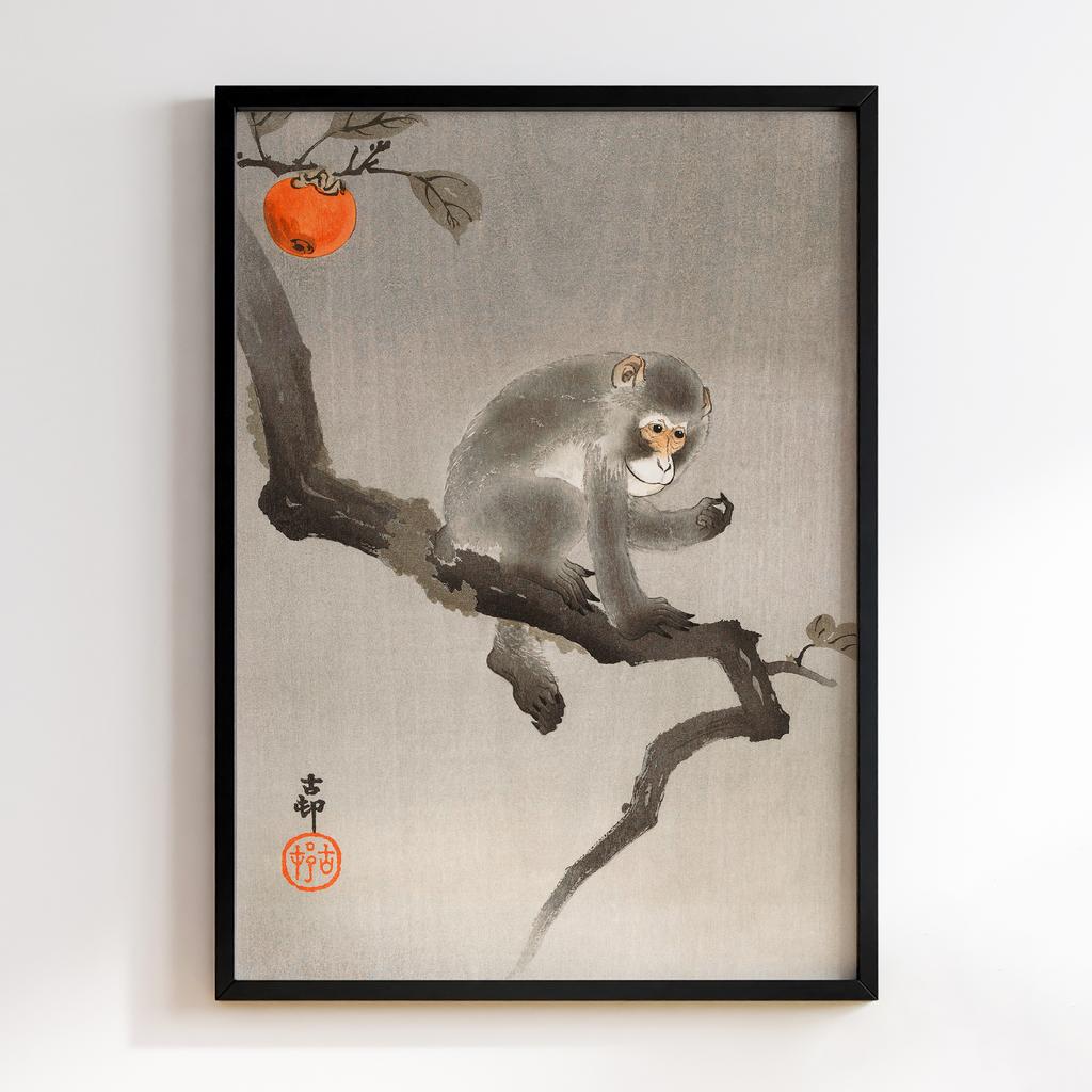 Постер Monkey in cockatoo (1900 - 1930) by Ohara Koson (1877-1945)