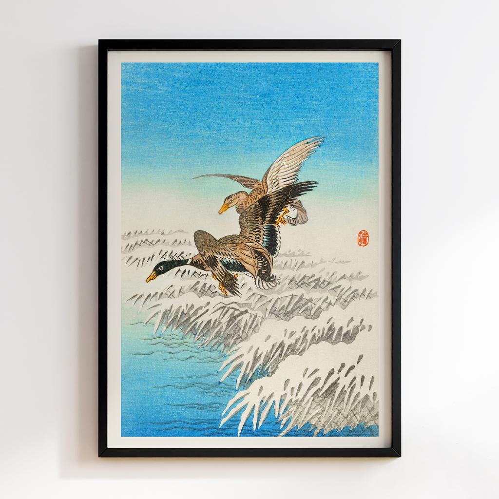 Постер Pair of ducks flying over snowy reed collar (1900 - 1945) by Ohara Koson (1877-1945)