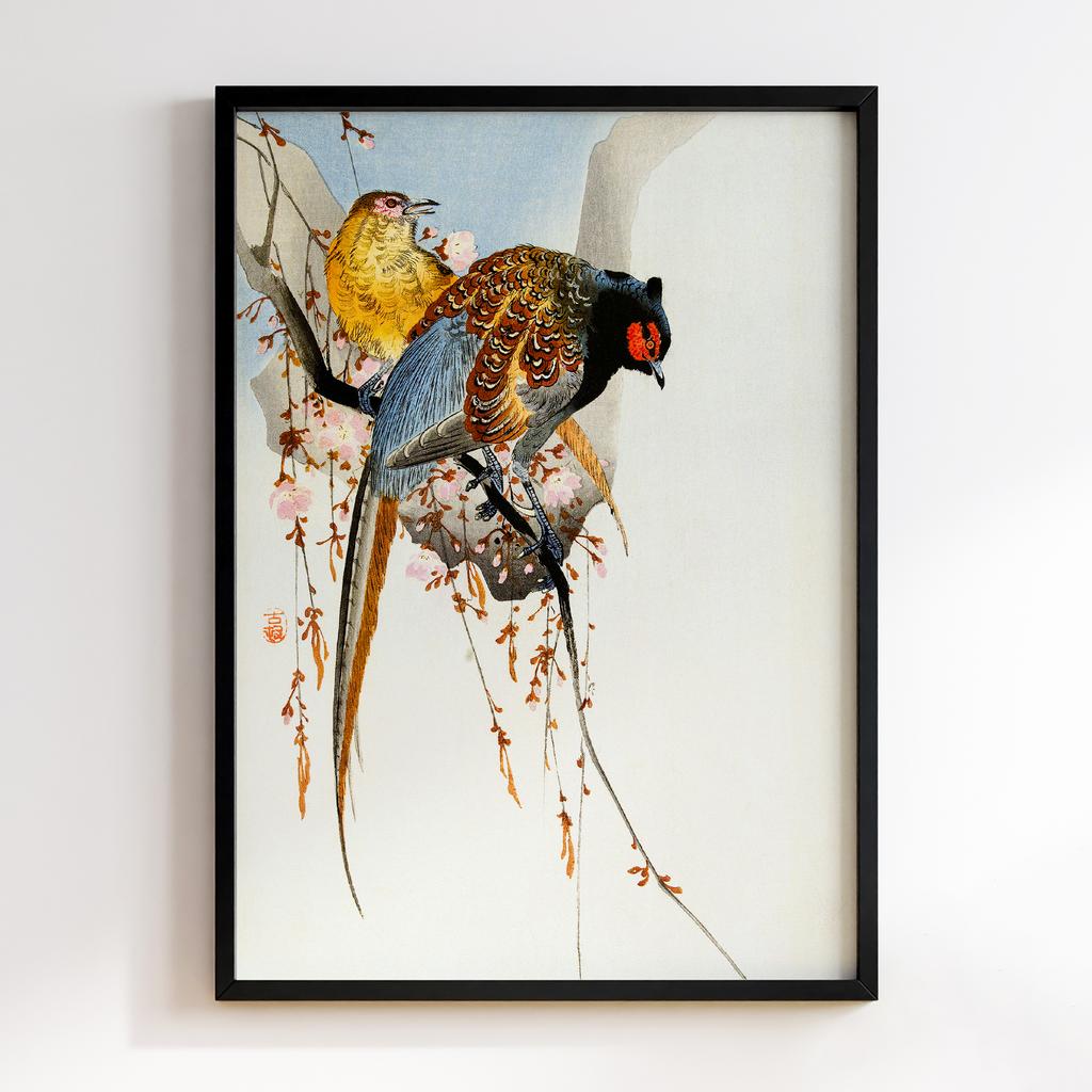 Постер Pheasant couple and plum blossom (1900 - 1930) by Ohara Koson (1877-1945)