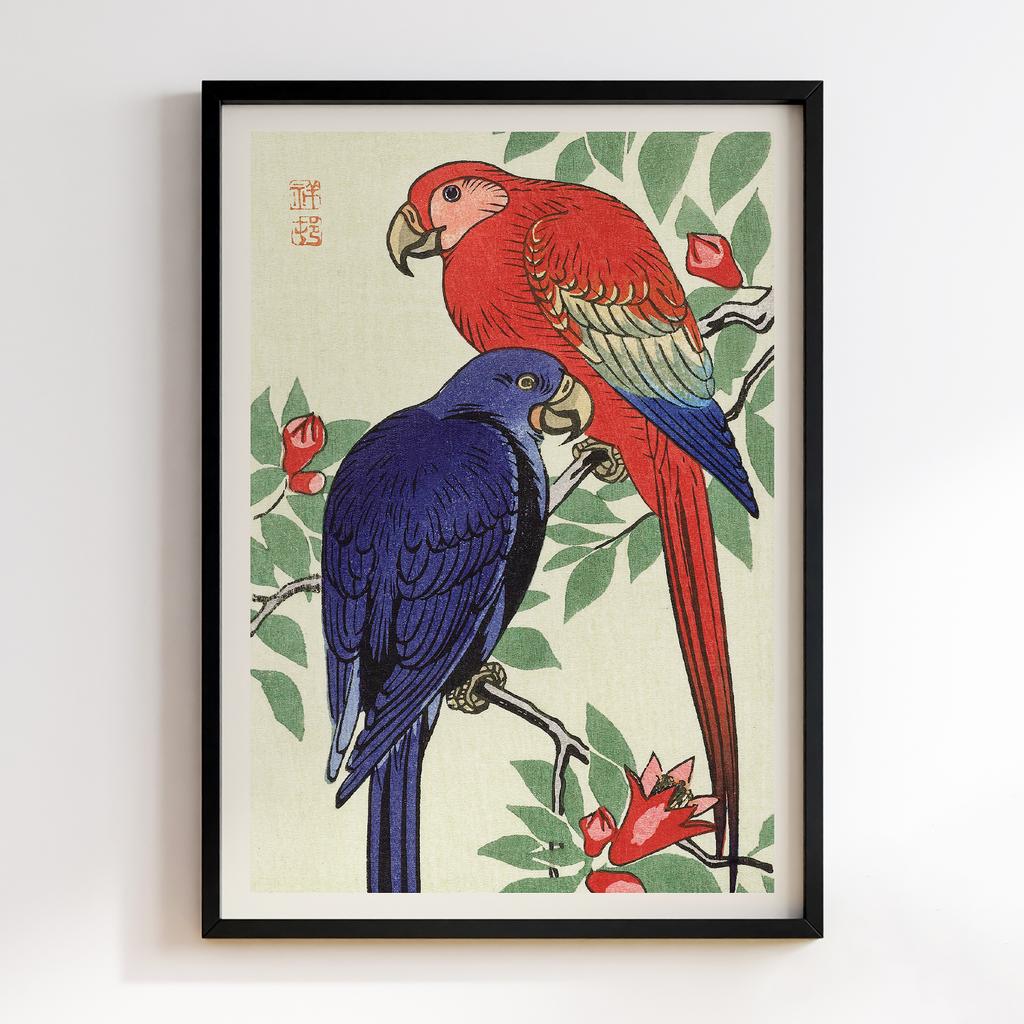 Постер Red and a blue parrot (1925 - 1936) by Ohara Koson (1877-1945)