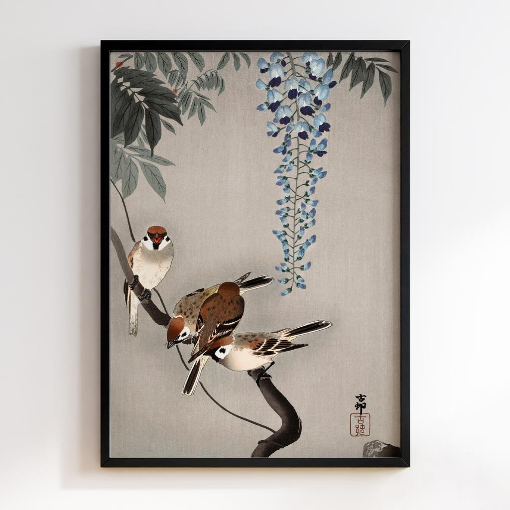Постер Ring sparrows at wisteria (1900 - 1936) by Ohara Koson (1877-1945)