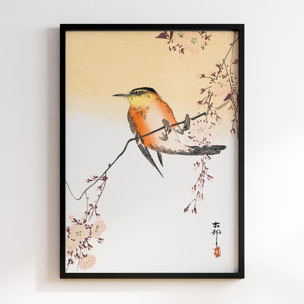 Постер Songbird and Blossoming Cherry (ca. 1900) by Ohara Koson (1877–1945)
