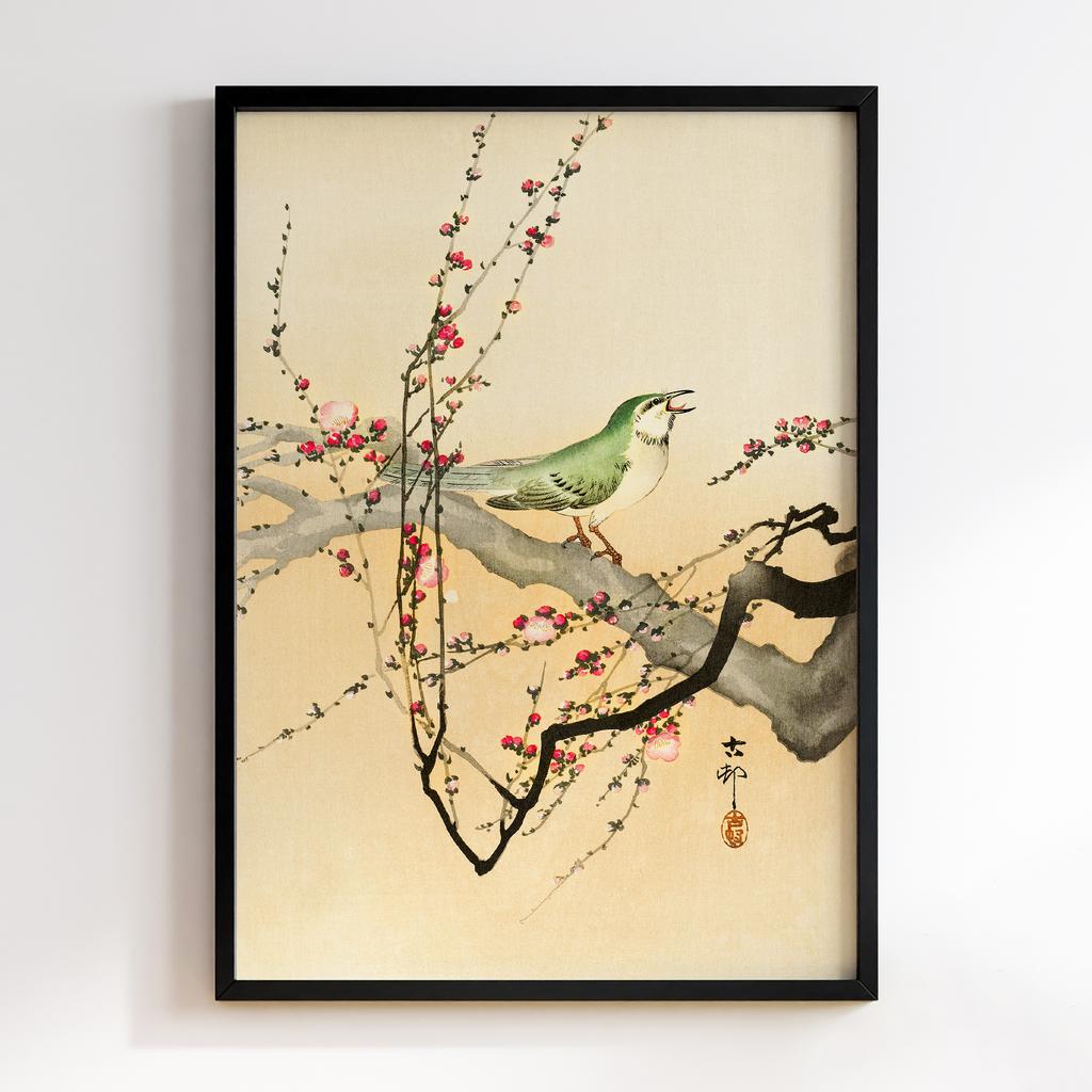 Постер Songbird and plum blossom (1900 - 1936) by Ohara Koson