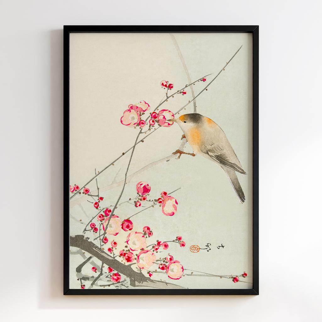 Постер Ohara Koson Songbird on blossom branch (1900 - 1936) by Ohara Koson (1877-1945)
