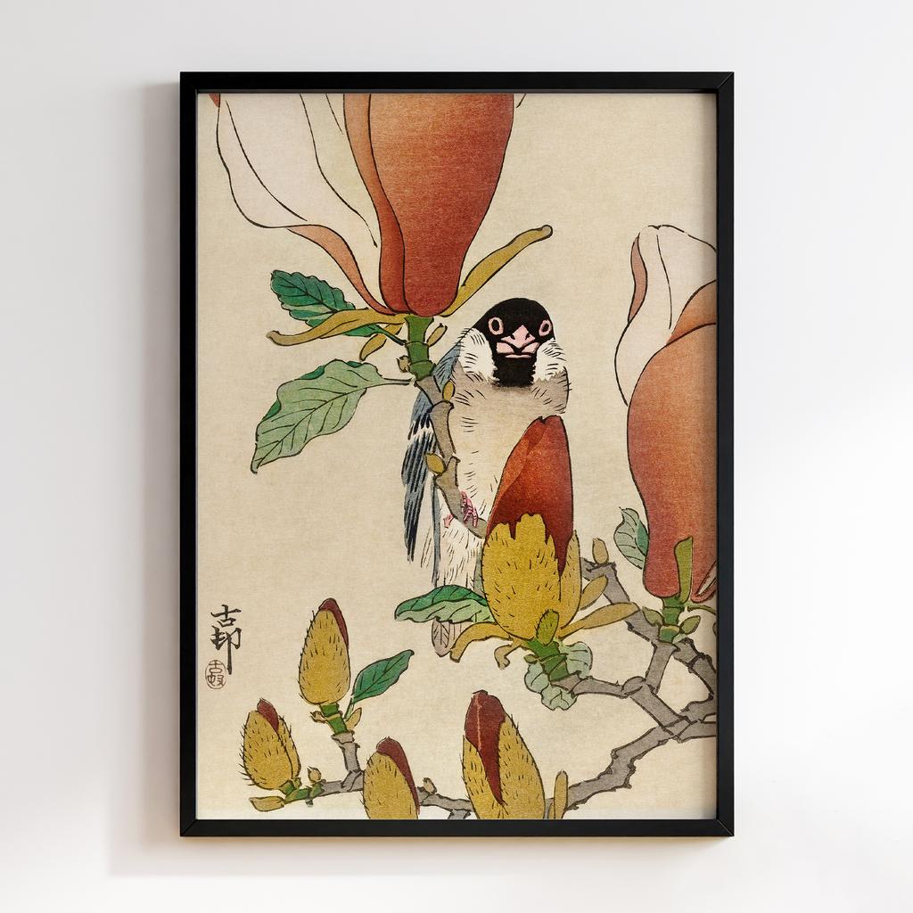 Постер Ohara Koson Sparrow on blooming magnolia branch (1900 - 1930) by Ohara Koson (1877-1945)