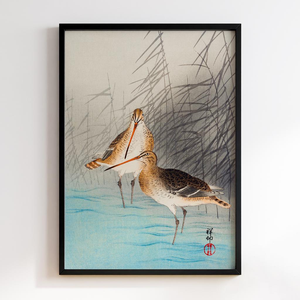 Постер Two bar-tailed godwits (1926) by Ohara Koson