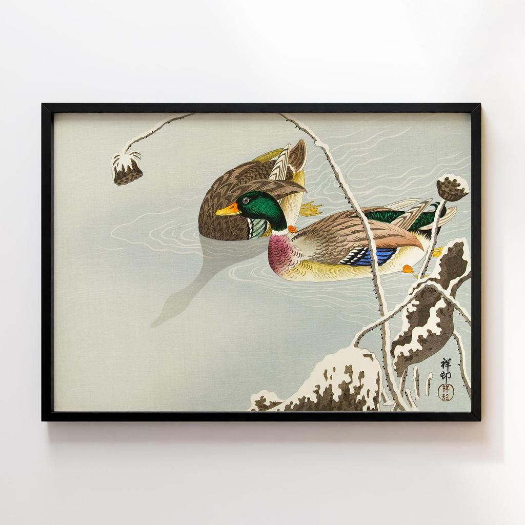 Постер Two Mallards near a Snow-Covered Lotus (1925 - 1936) by Ohara Koson (1877-1945)