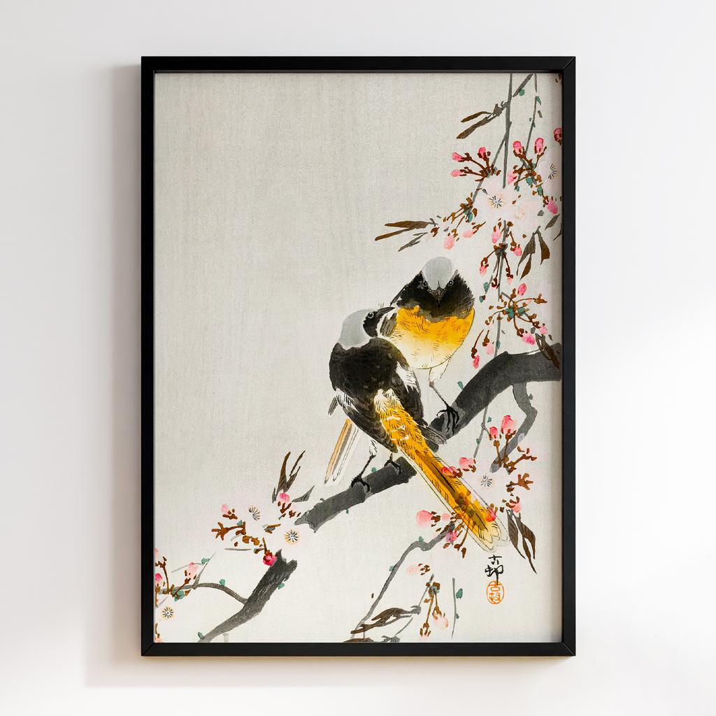 Постер Two sable red tails with cherry blossom (1900 - 1936) by Ohara Koson (1877-1945)