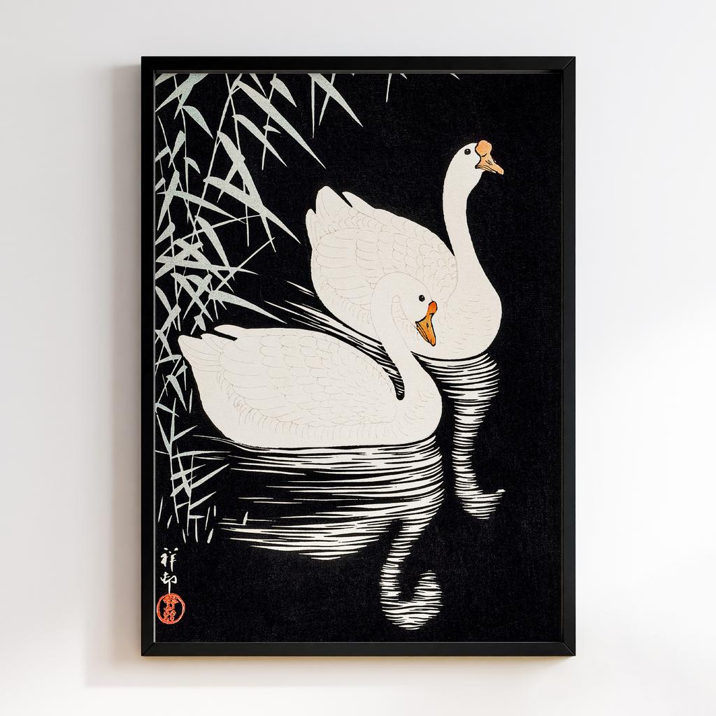 Постер White Chinese Geese Swimming by Reeds by (1928) Ohara Koson