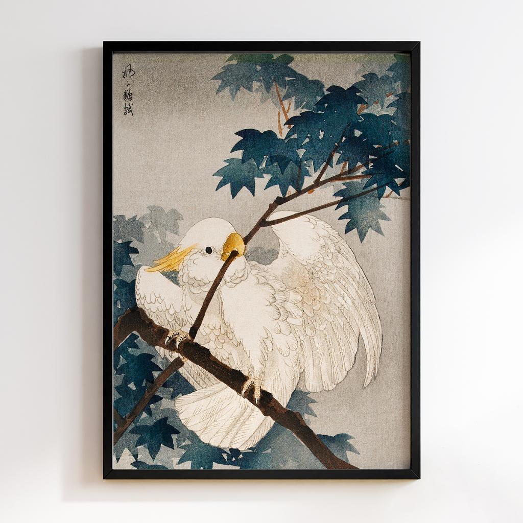 Постер Yellow crested cockatoo in tree (1900 - 1940) by Ohara Koson n (1877-1945)
