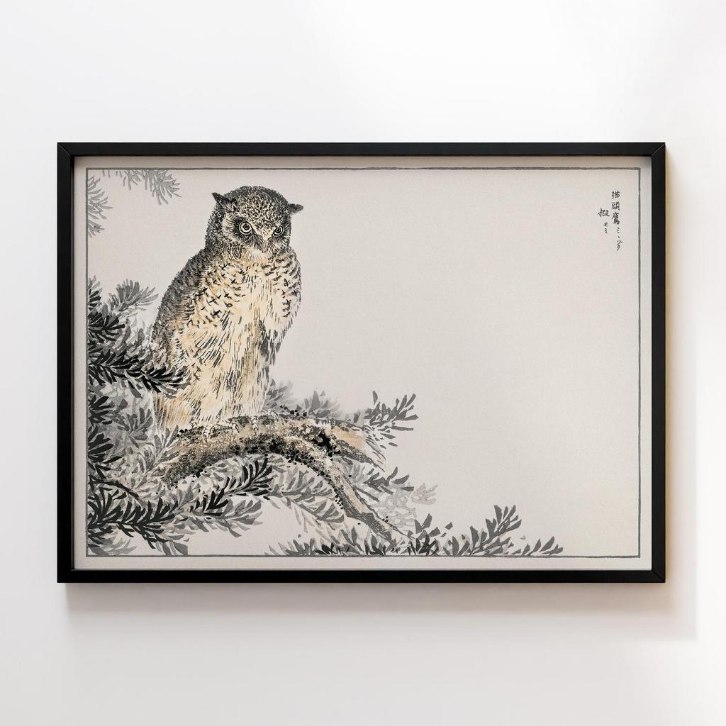 Постер Japanese Scops Owl and Fir illustration by Numata Kashu