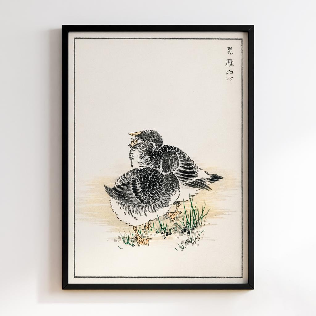 Постер Black Brant illustration by Numata Kashu
