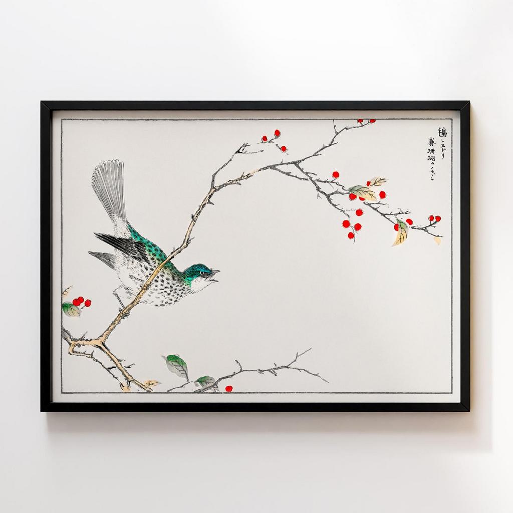 Постер Brown-eared Bulbul and Dioecious Holly illustration by Numata Kashu