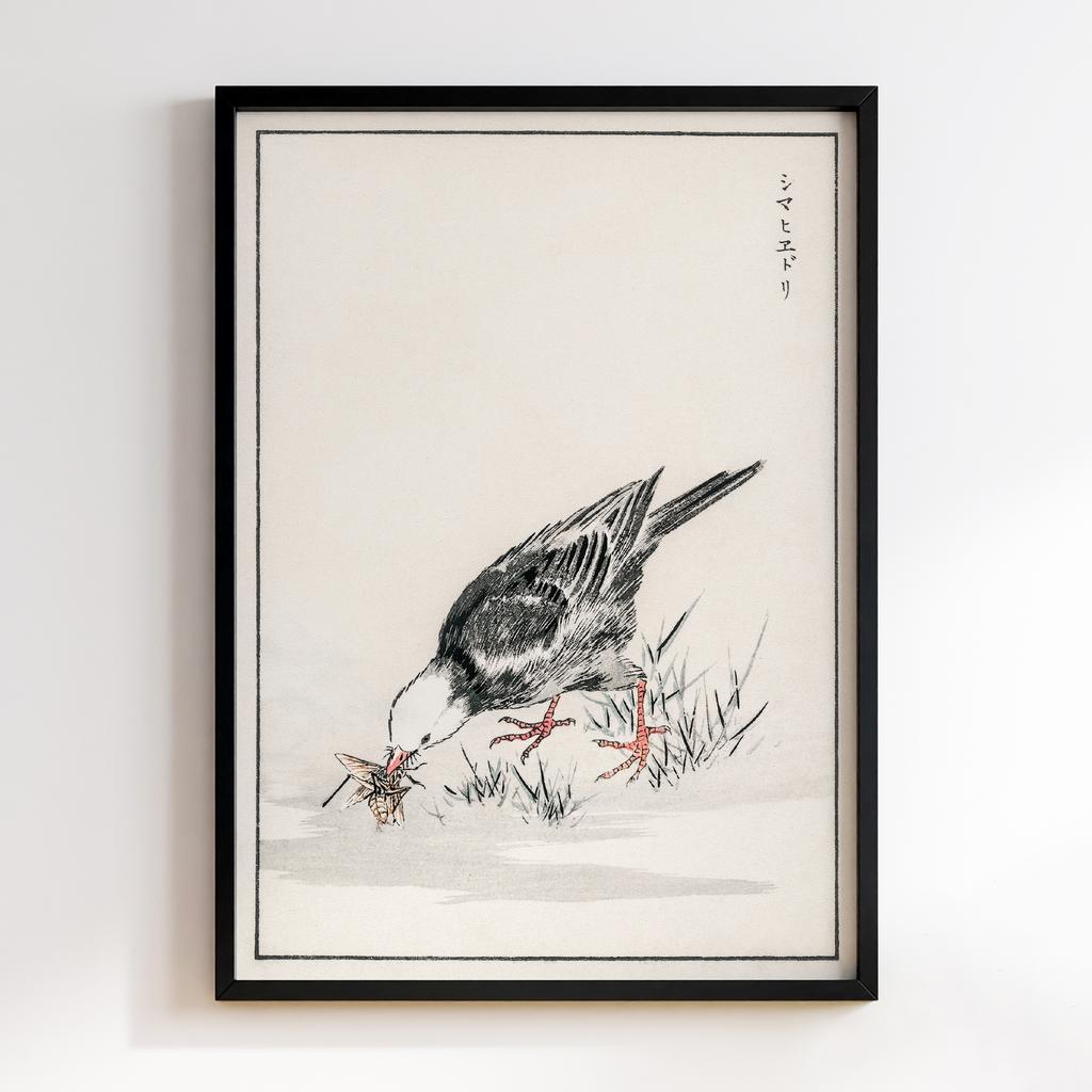Постер Brown-eared Bulbul illustration by Numata Kashu