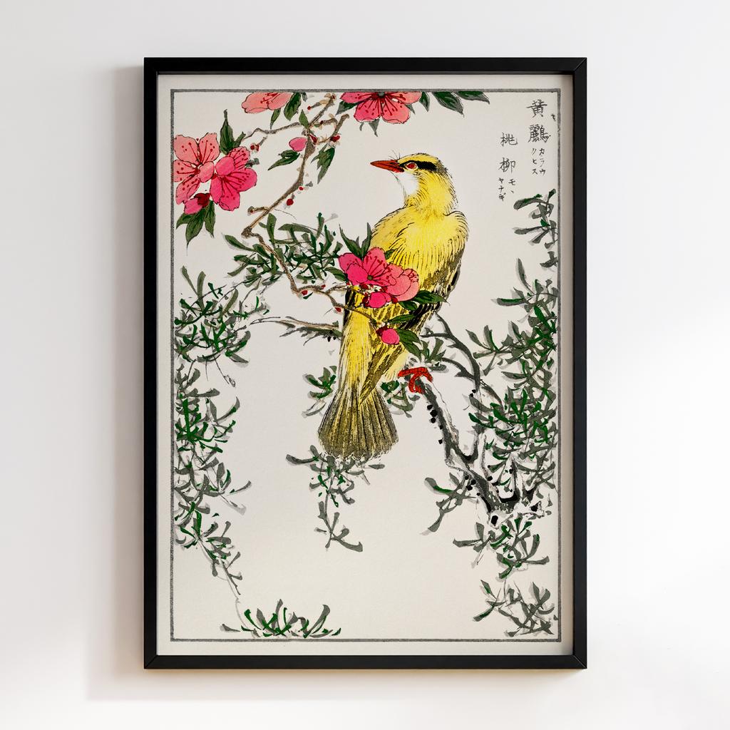 Постер Chinese Bush-warbler and Drooping Peach iIllustration by Numata Kashu