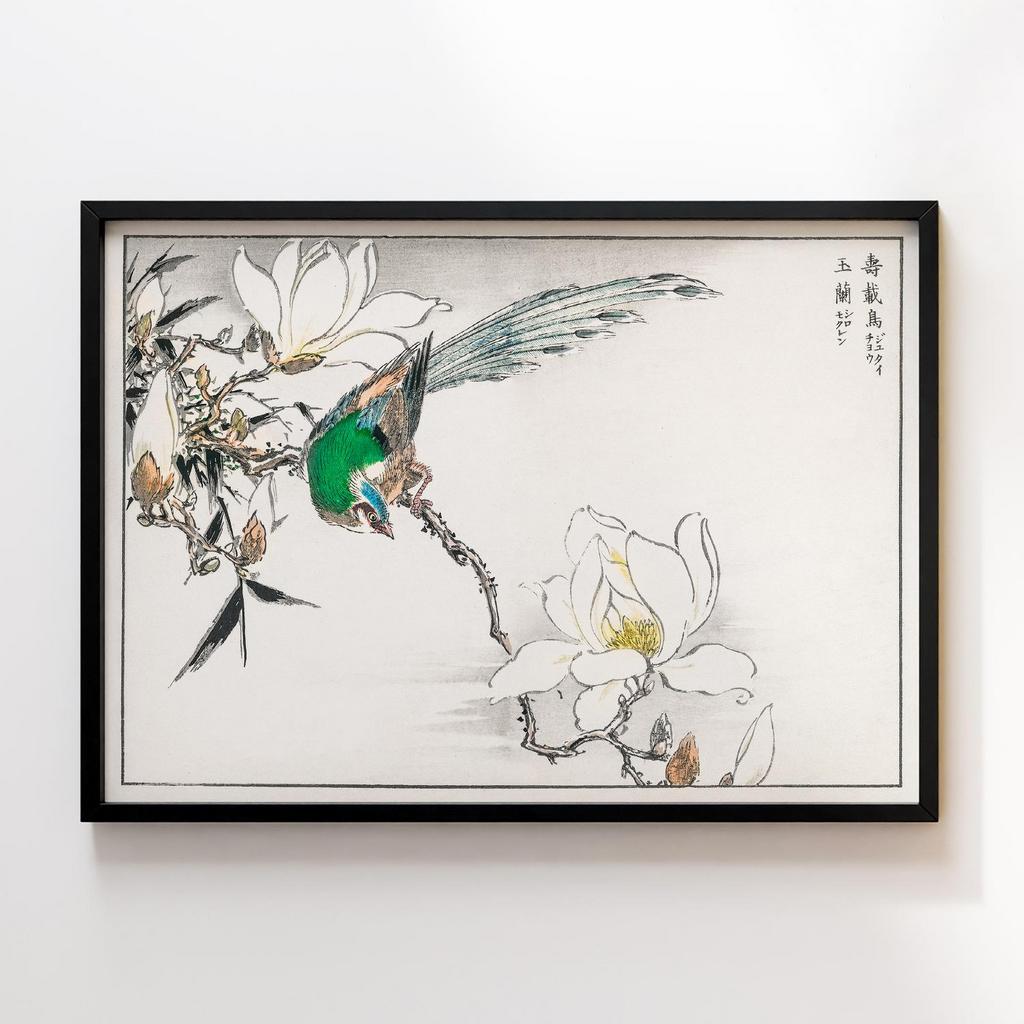 Постер Chinese Tree Pipit and Magnolia illustration by Numata Kashu