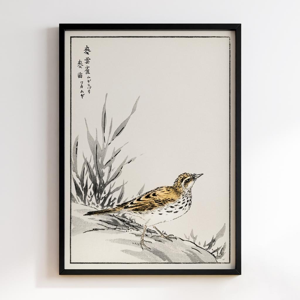 Постер Chinese Tree-Pipit and Wheat illustration by Numata Kashu