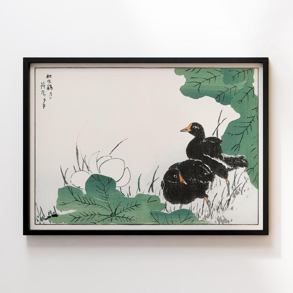 Постер Coot and Lotus illustration by Numata Kashu