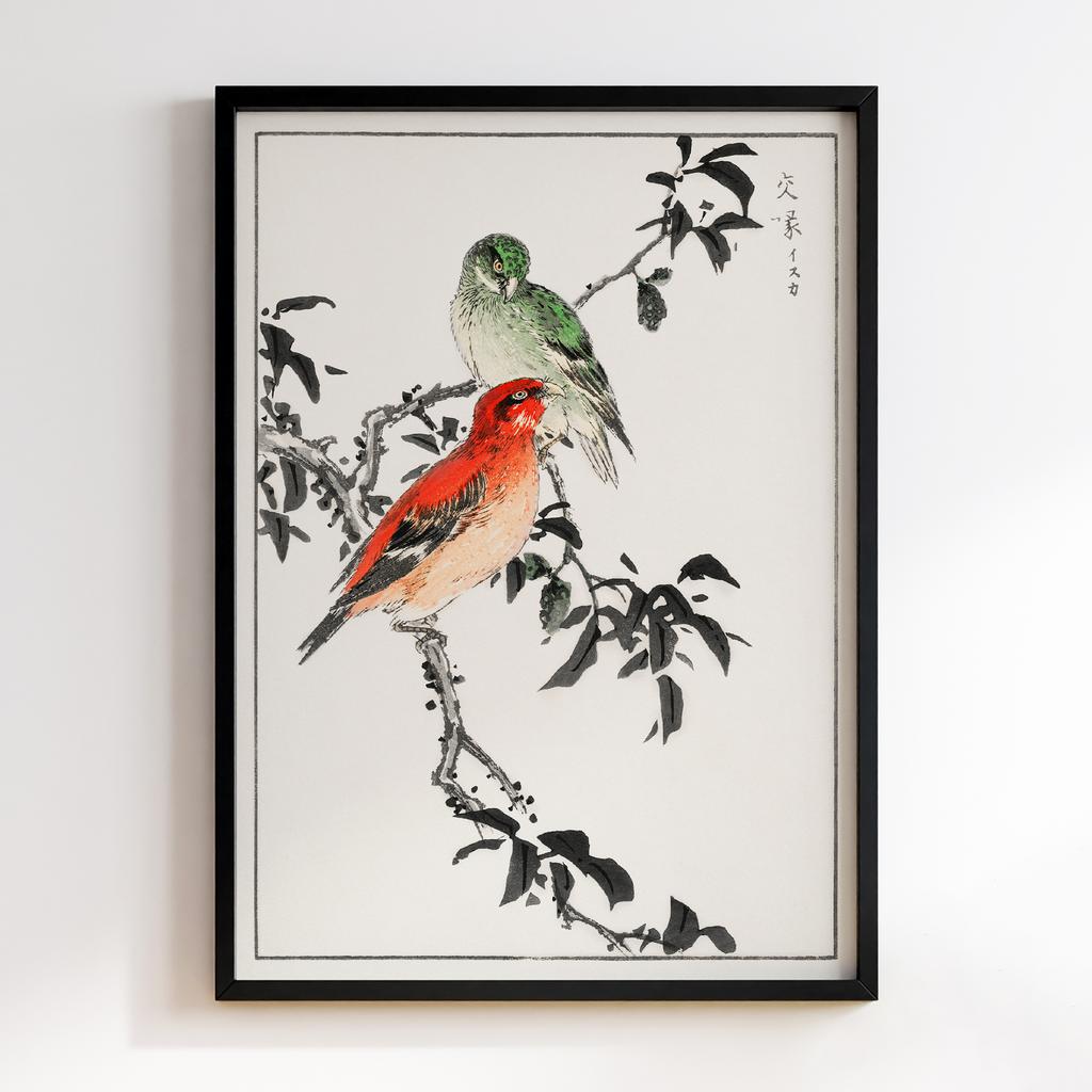 Постер Crossbill illustration by Numata Kashu