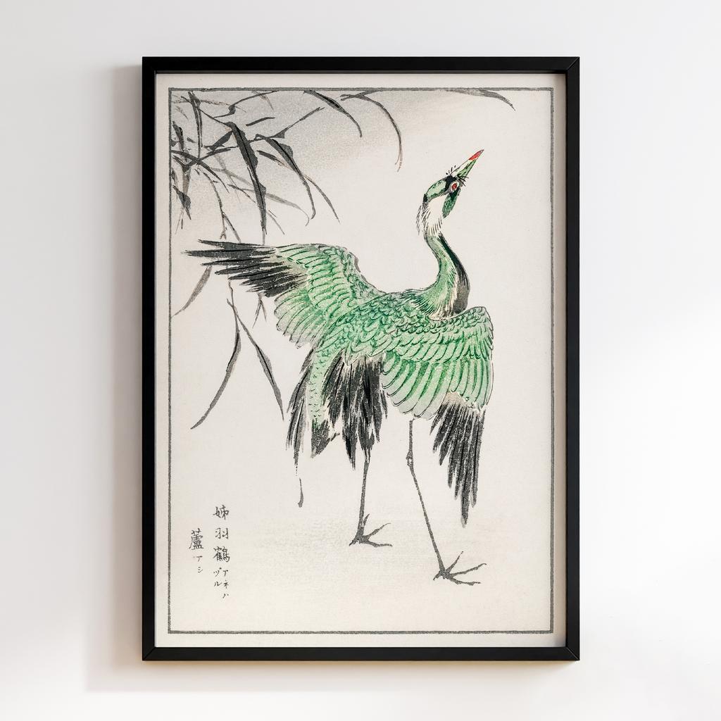 Постер Demoiselle crane and Reed illustration by Numata Kashu