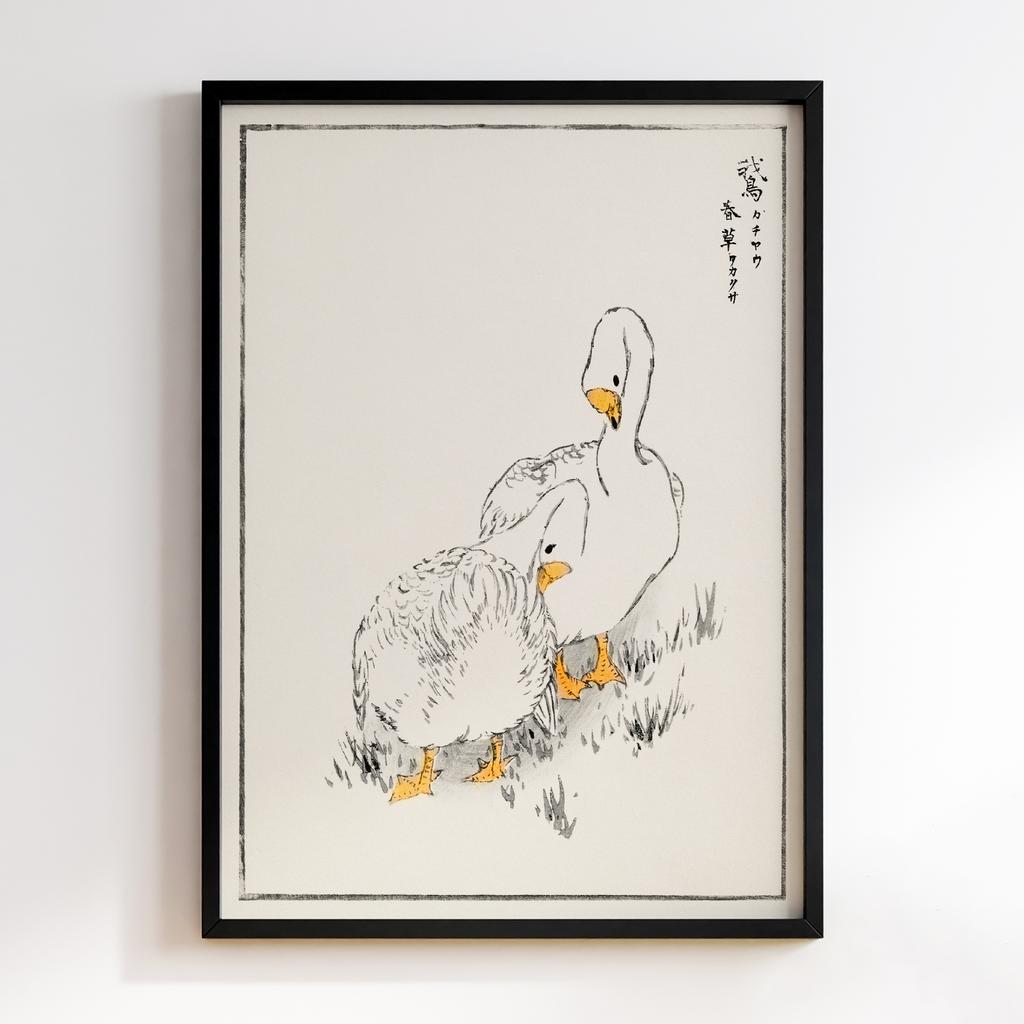 Постер Duck and Young Grass illustration by Numata Kashu