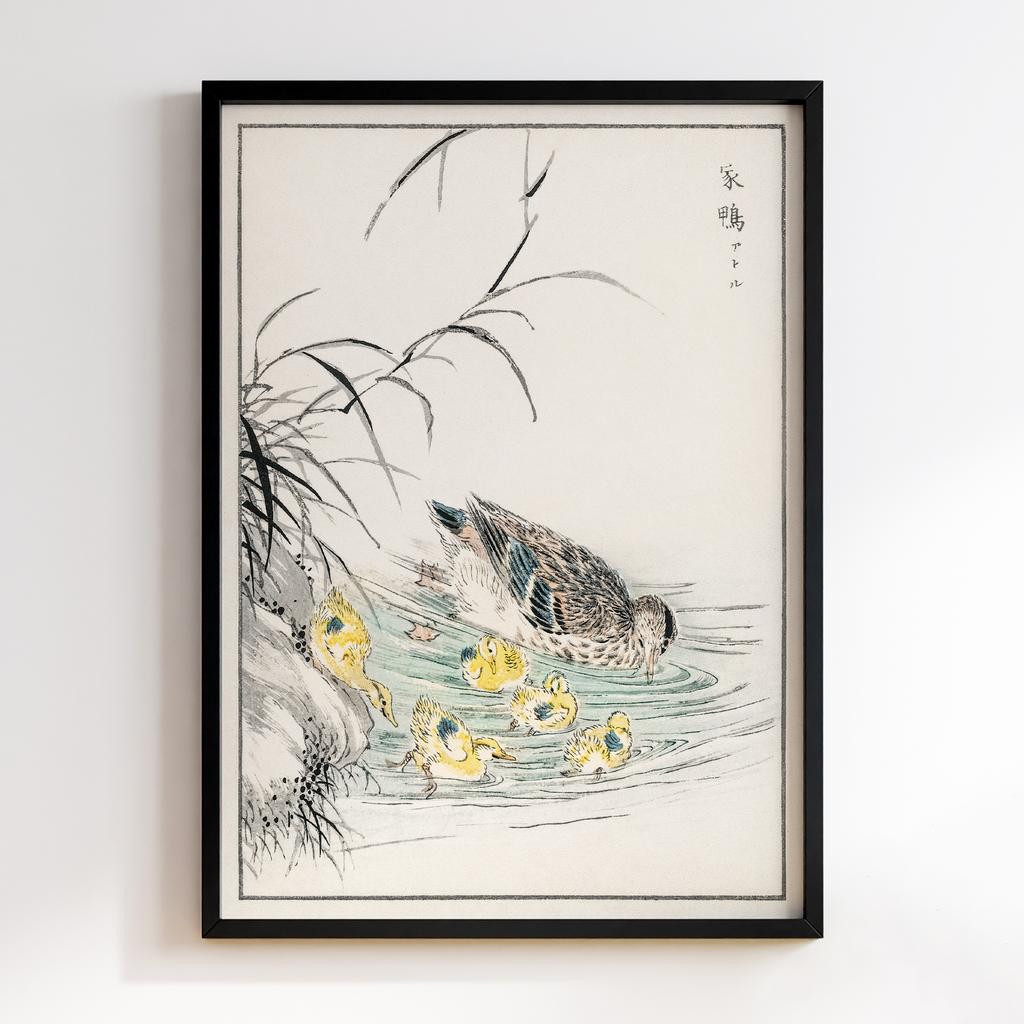 Постер Duck illustration by Numata Kashu