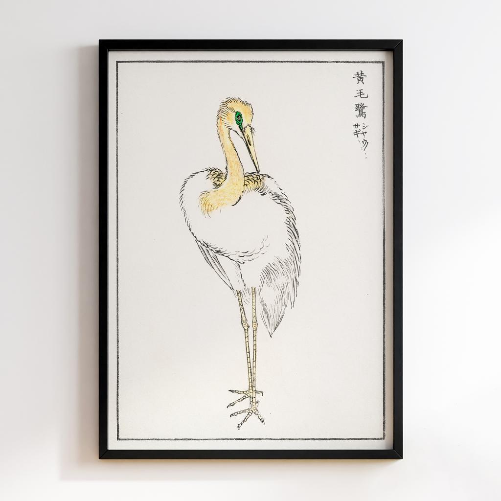 Постер Eastern Great White Egret illustration by Numata Kashu