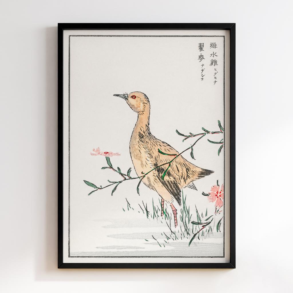 Постер Eastern Redshank and Pink Flower illustration by Numata Kashu