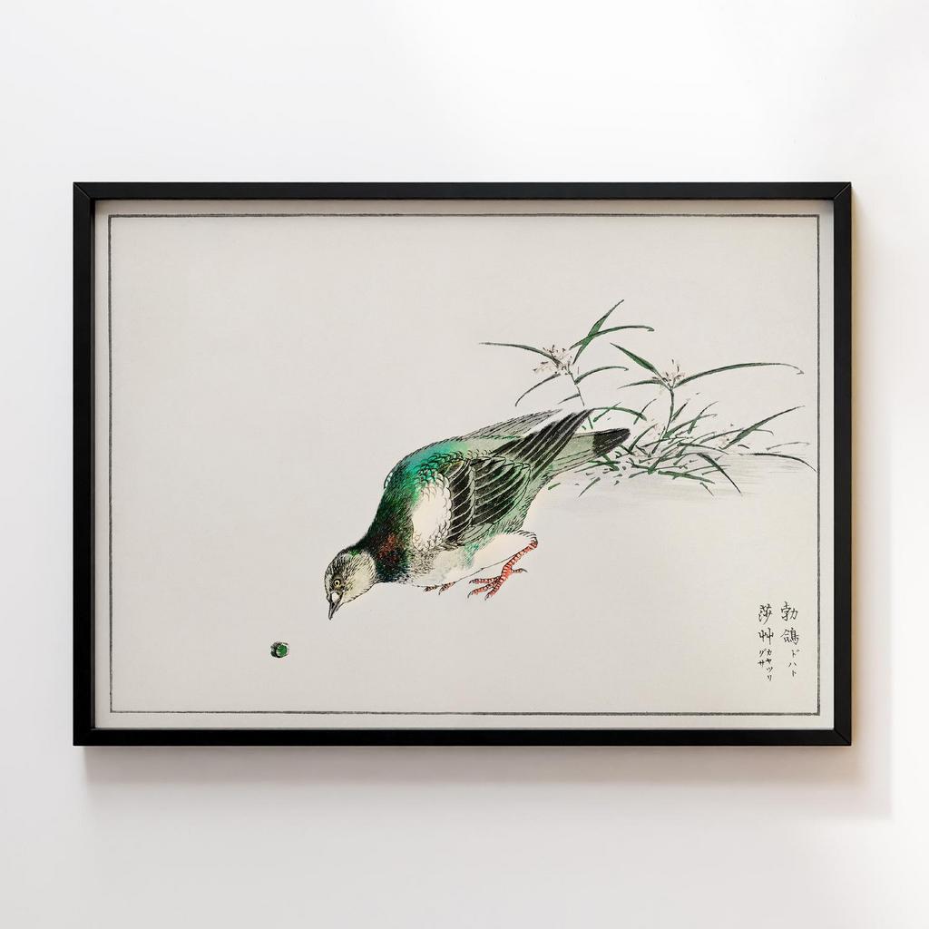 Постер Eastern Turtle Dove and Miscanthus illustration by Numata Kashu